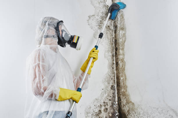 Certified Mold Removal in Eagle Crest, OR