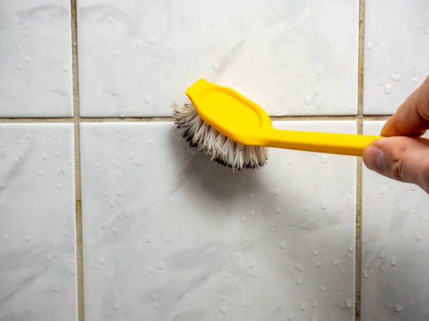 Best Mold Cleaning Services  in Eagle Crest, OR