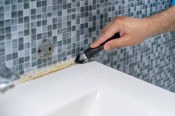 Best Best Mold Removal Companies  in Eagle Crest, OR