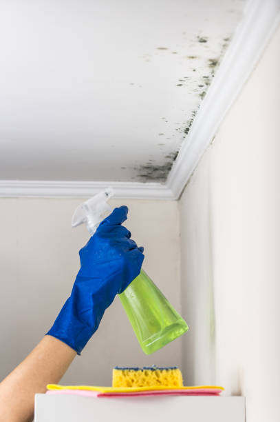 Best Residential Mold Removal  in Eagle Crest, OR