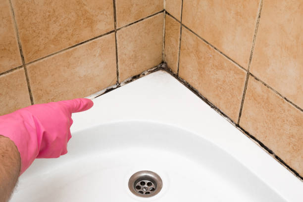 Office Mold Removal Services in Eagle Crest, OR
